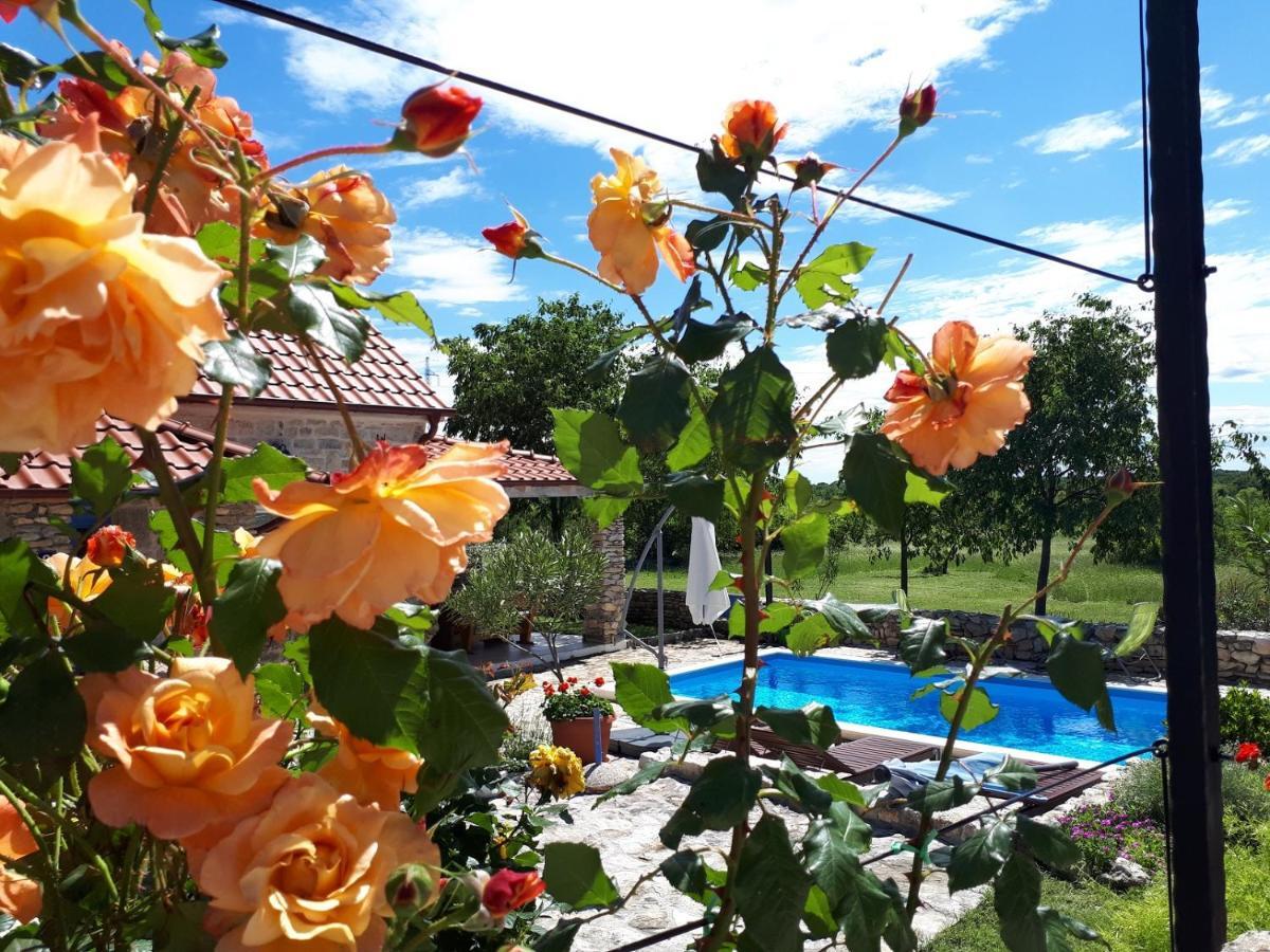 Holiday Home Toma Puljane Exterior foto